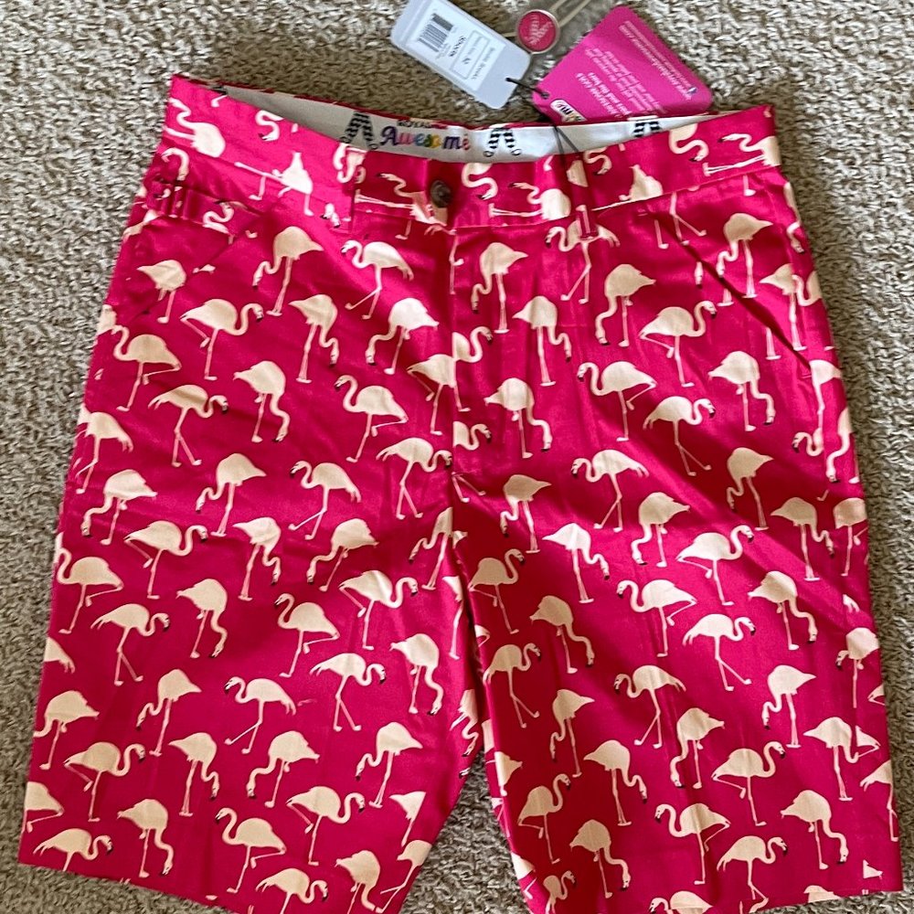Royal & Awesome Birdie Breeks Golf shorts NWT - Picture 2 of 3